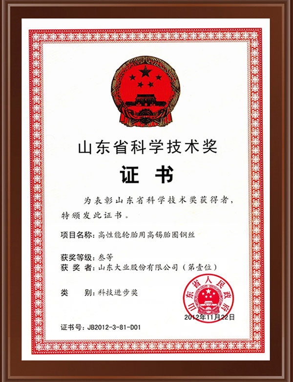 山东省科学技术奖