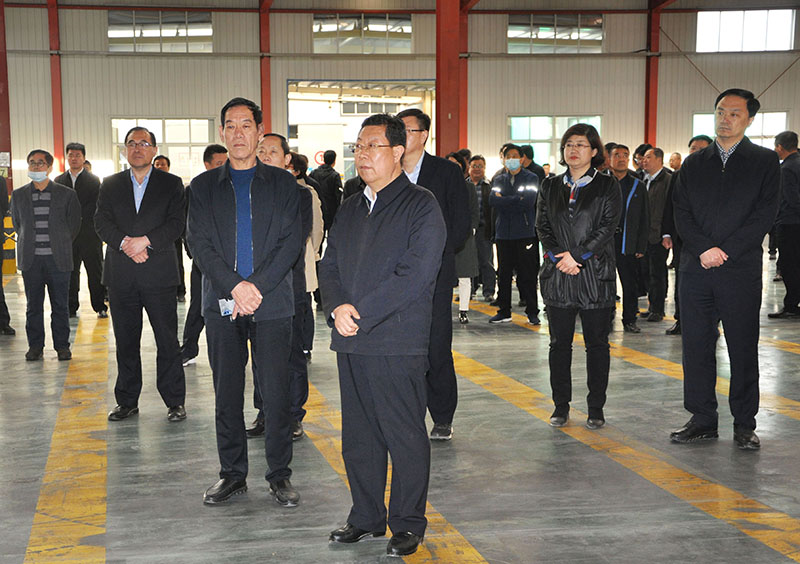 4月30日市重点项目考察团桑福